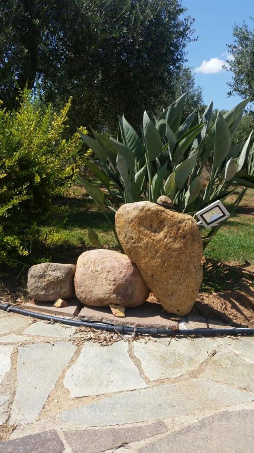 לינה וארוחת בוקר אלגהרו Da Patrizia מראה חיצוני תמונה